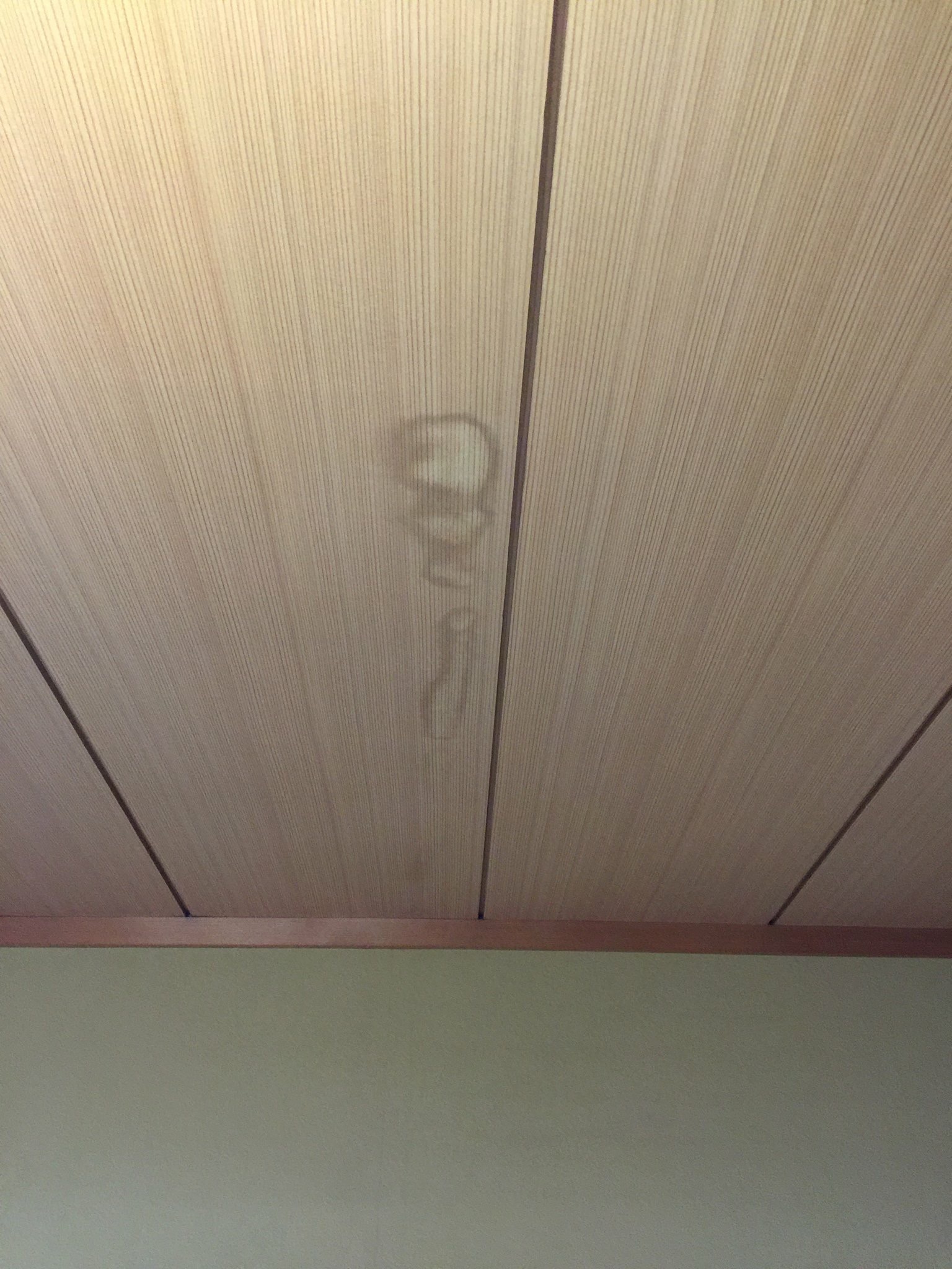 え 天井にシミが なんかいる 大阪府高槻市真上のマツシタデンキ